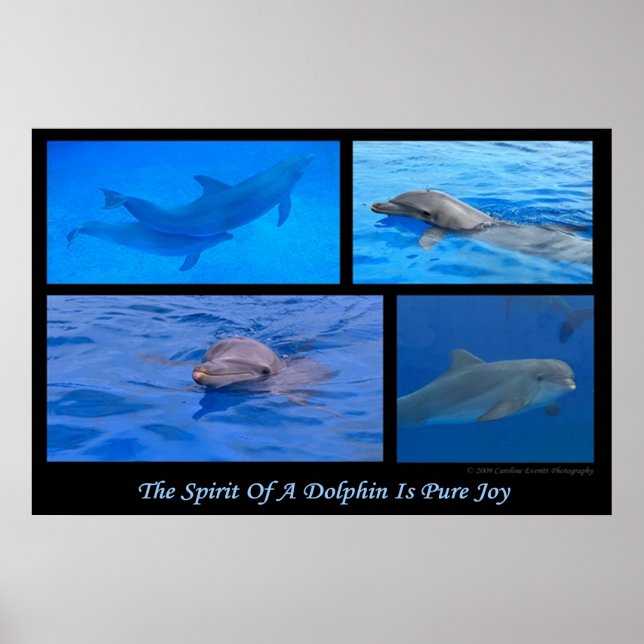 Spirit Of A Dolphin Poster (Front)