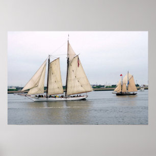 Spirit of South Carolina and Alert schooner Poster