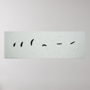 Spirit of the Flight Poster