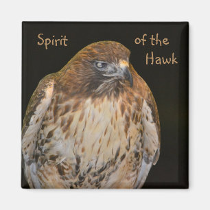 Spirit Of The Hawk Magnet