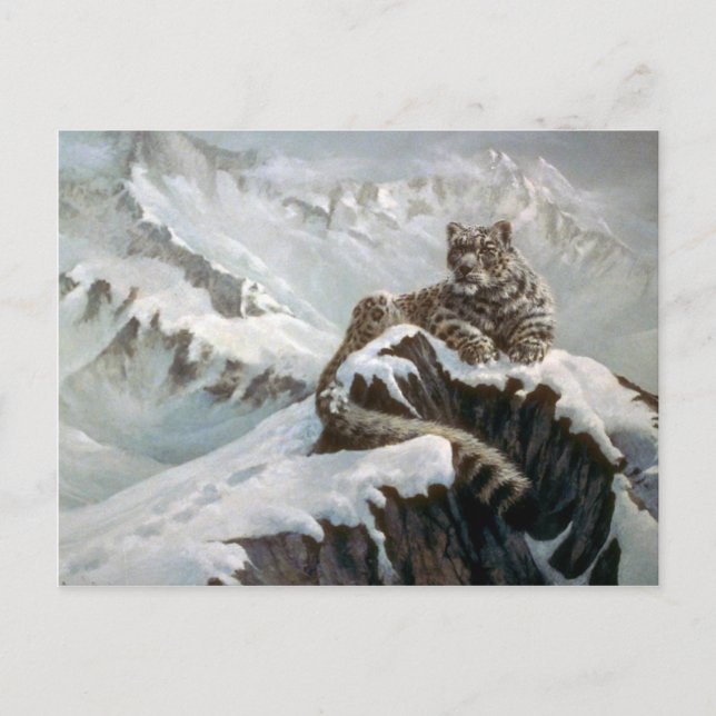Spirit of the mountains, Snow Leopard Postcard (Front)