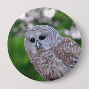 Spirit Of The Owl 10 Cm Round Badge