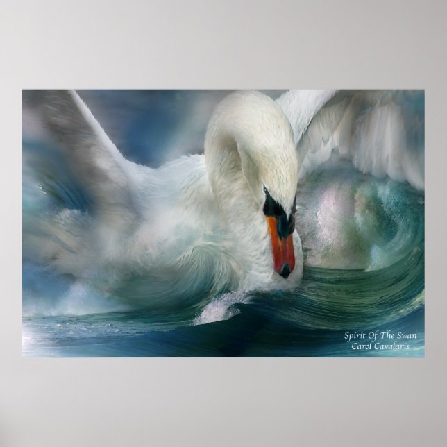 Spirit Of The Swan Art Poster/Print Poster (Front)