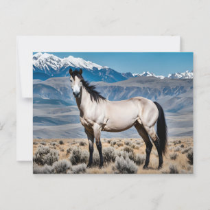 Spirit of the West Mustang Postcard