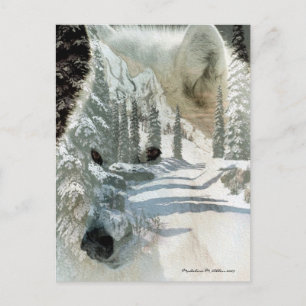 Spirit Of The Wilderness Postcard