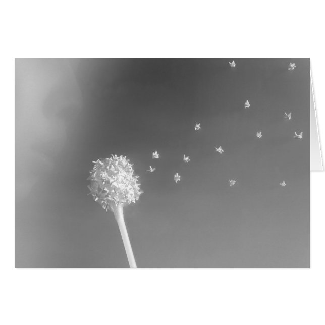 Spirit of the Wind (Front Horizontal)