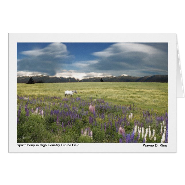 Spirit Pony in High Country Lupine Field (Front Horizontal)