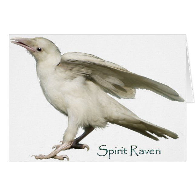 Spirit Raven II Series (Front Horizontal)
