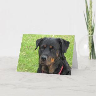 Spirit Rottweiler Miss You Card