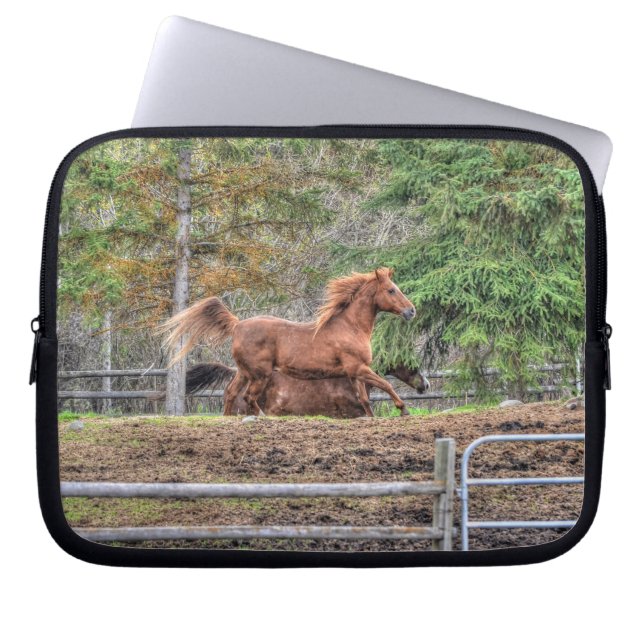 Spirited Dun Pony and Chestnut Ranch Horse Racing Laptop Sleeve (Front)