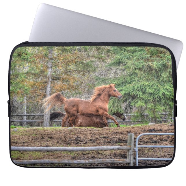Spirited Dun Pony and Chestnut Ranch Horse Racing Laptop Sleeve (Front)