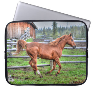 Spirited Dun Pony, Horse Running on Ranch I Laptop Sleeve