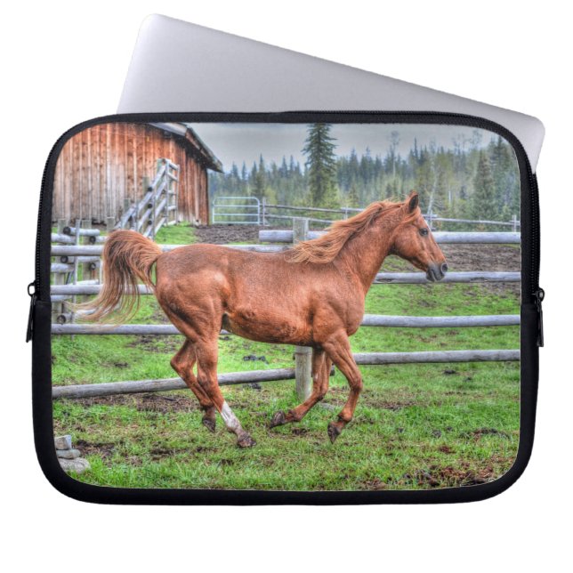 Spirited Dun Pony, Horse Running on Ranch I Laptop Sleeve (Front)