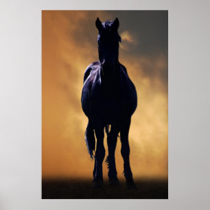 Spirited horse poster