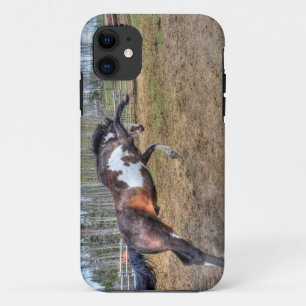 Spirited Pinto Stallion Equine Action Photo iPhone 11 Case
