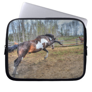 Spirited Pinto Stallion Equine Action Photo Laptop Sleeve