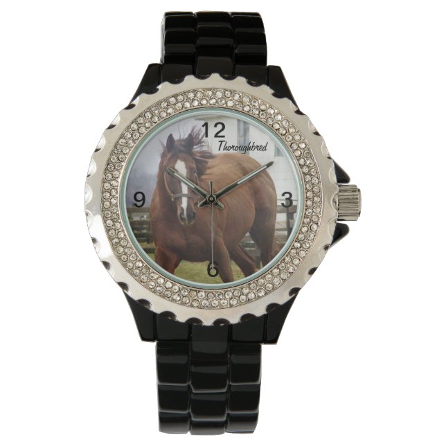 Spirited Thoroughbred Horse Watch (Front)