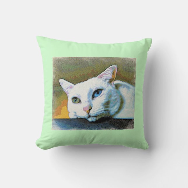 Spirit's 2-faced pillow #2 (Front)