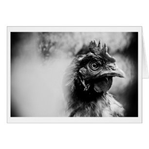 spirits and chickens 2