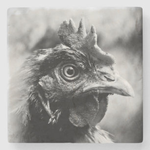spirits and chickens 2 stone coaster
