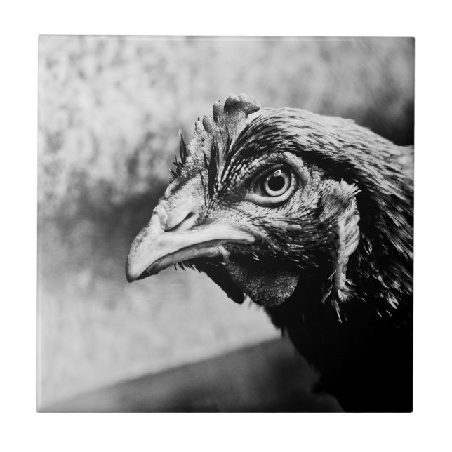 spirits and chickens ceramic tile (Front)