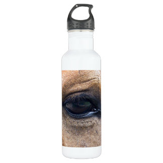 Spirit's Eye 710 Ml Water Bottle