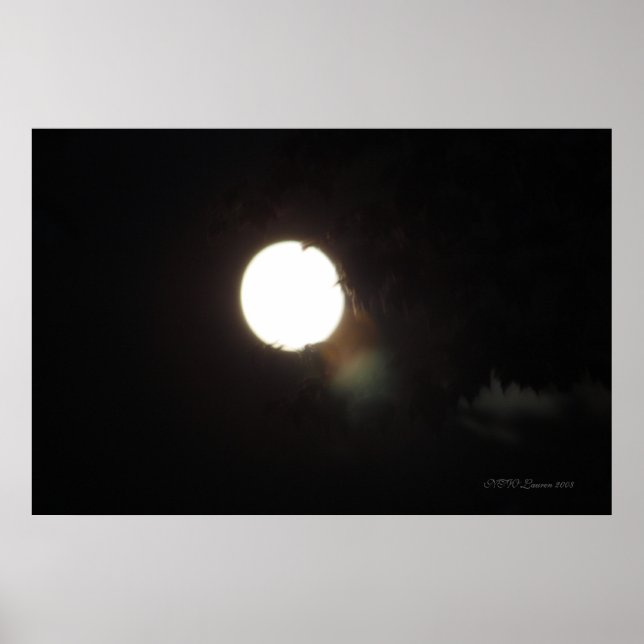 Spirits On A Moonlit Night Poster (Front)