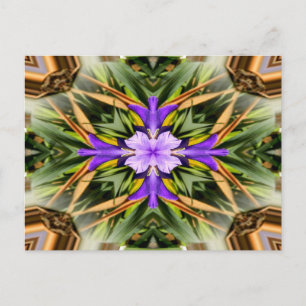 Spiritual... Postcard