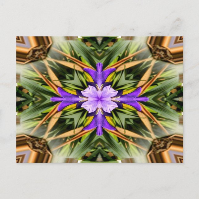 Spiritual... Postcard (Front)