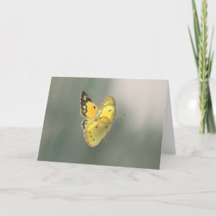 Spiritual Transition Butterfly Sympathy Card