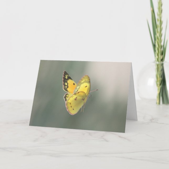 Spiritual Transition Butterfly Sympathy Card (Front)