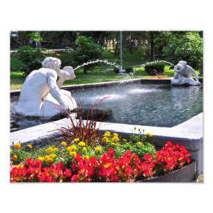 Spit and Spat - CONGRESS PARK Photo Print