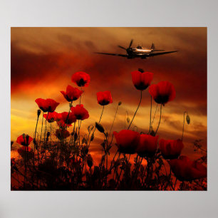 Spitfire Salute Poster