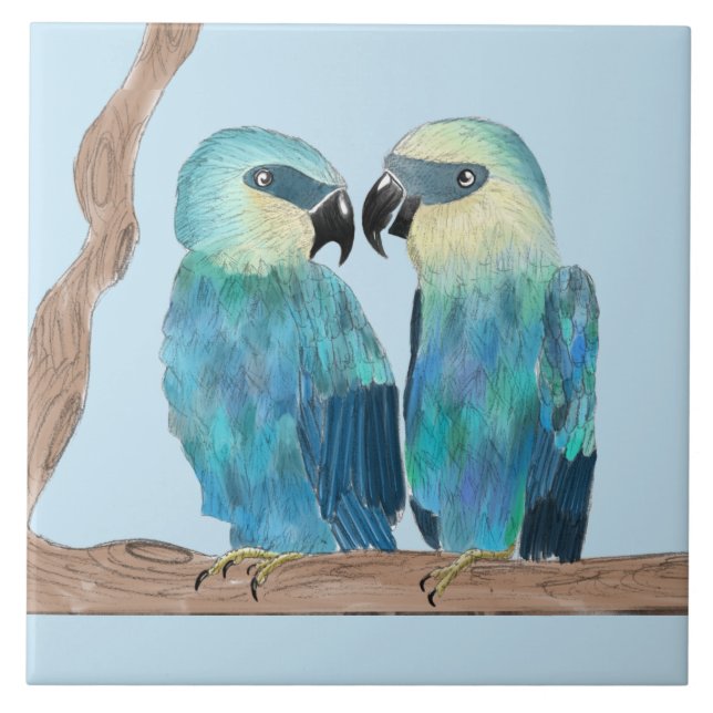 Spix's Macaws on a Ceramic Tile - (B) (Front)