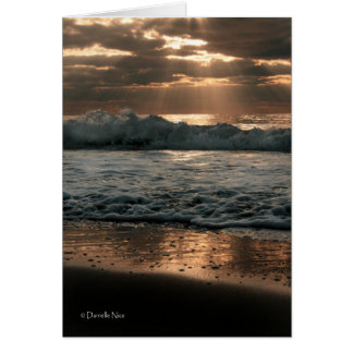 Splash Card