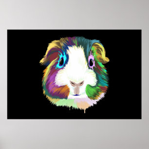 Splash Guinea Pig Poster