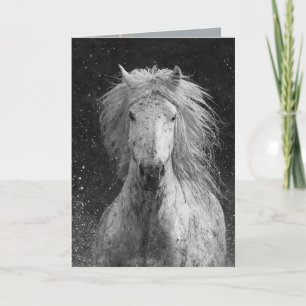 Splash Horse Greeting Card