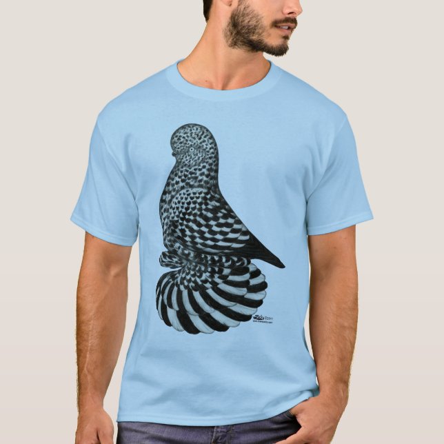 Splash Muffed Tumbler Pigeon T-Shirt (Front)