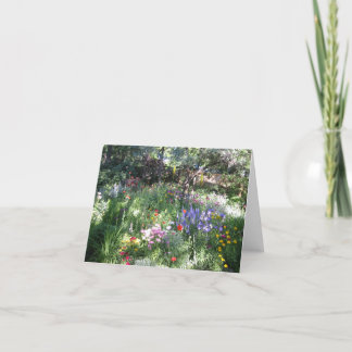 Splash of Colour Card