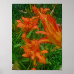 Splash of Orange Poster