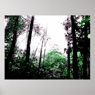 Splashes of Green Poster