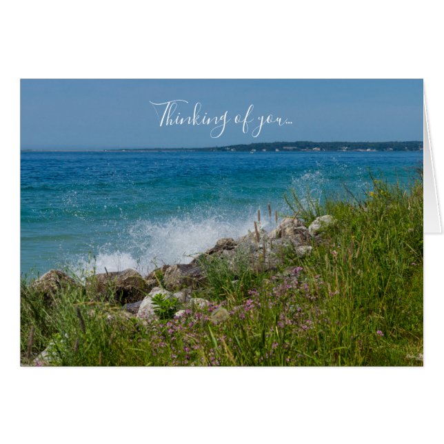 Splashing At Mackinac Thinking Of You Card (Front Horizontal)