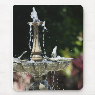 Splashing from the Water Fountain at Hollis Garden Mouse Pad