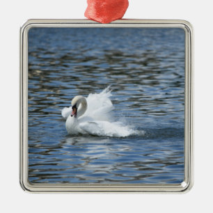 Splashing Swan on Lake Morton  Metal Ornament