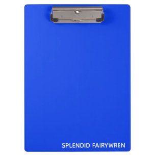 Splendid Fairywren Blue Colour Name Clipboard