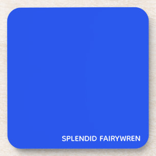 Splendid Fairywren Blue Colour Name Coaster