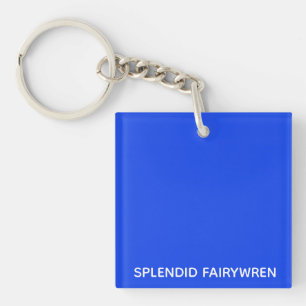 Splendid Fairywren Blue Colour Name Key Ring