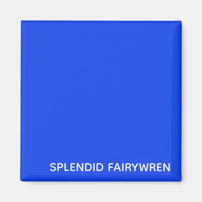 Splendid Fairywren Blue Colour Name Magnet (Front)