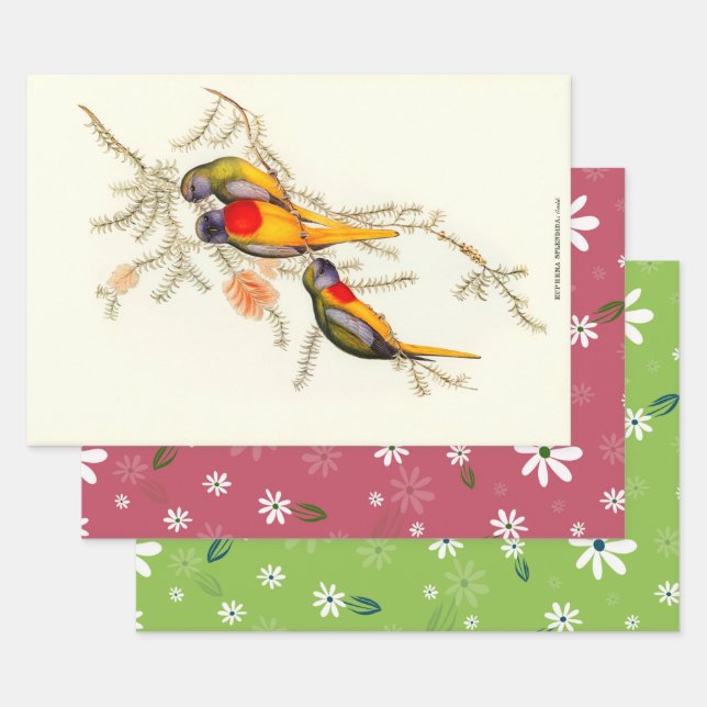 Splendid Grass-Parakeet, Gift  Wrapping Paper Sheet (Set)