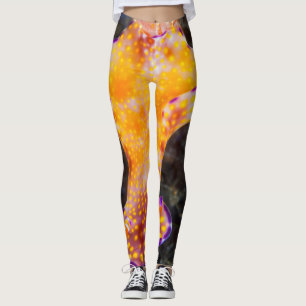 Splendid Nudibranch Leggings